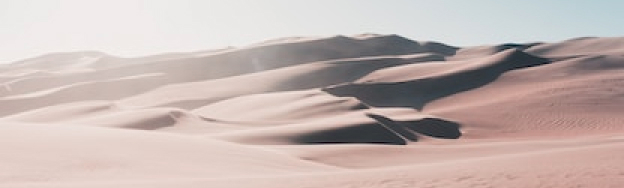 The-Prophet-Household