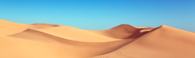 Rulership-and-Princeship-among-the-Arabs